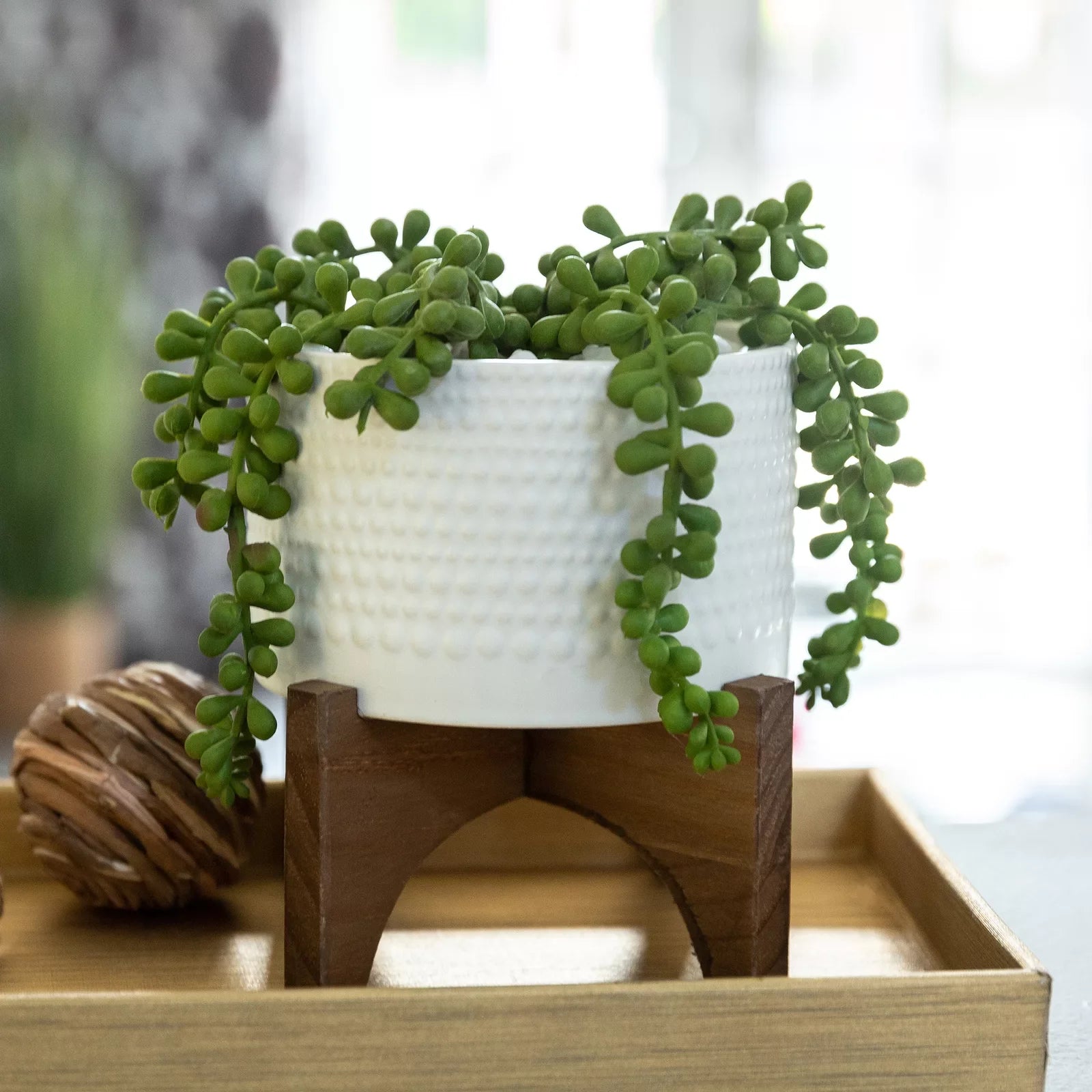 faux string of pearls plant in pot Faux String Of Pearls Plant in Planter – Kovachaz